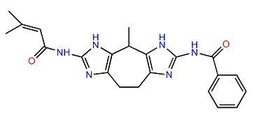 Zoamide B